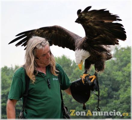 ESPECTÁCULOS CON AVES. VARIAS PROVINCIAS.
